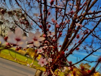 Giochi di colori: quando la primavera arriva in tutto il suo splendore